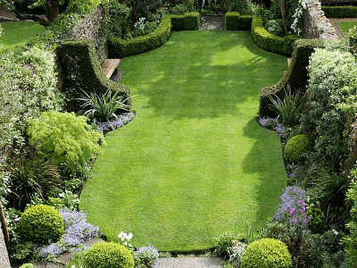 Agosto nell'orto e in giardino