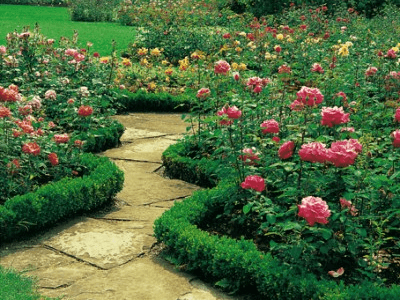 Febbraio nell'orto e in giardino