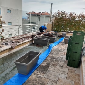 Aiuole in terrazza con vasi e siepe