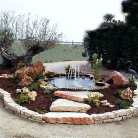 Progettazione laghetto giardino