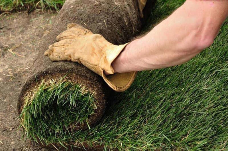 posa di tappeto erbosa in zolla a rotoli prato a rotoli