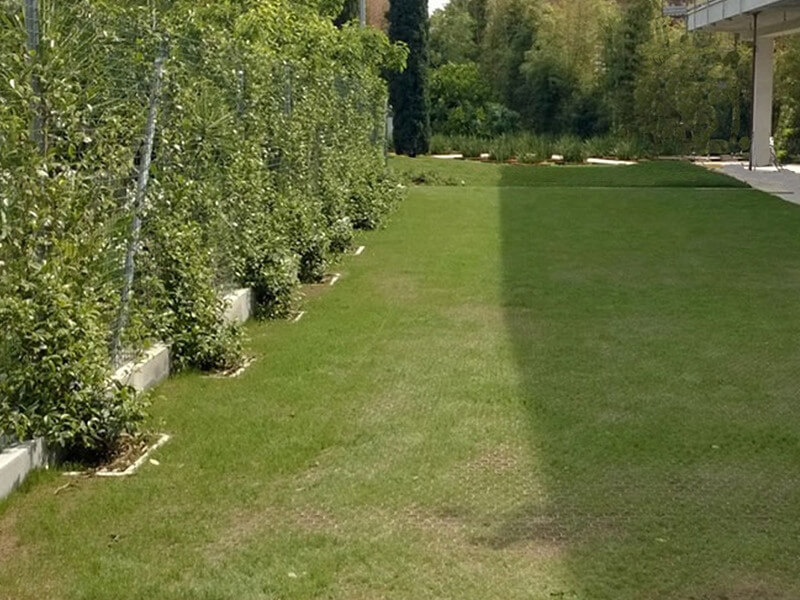 Prati Carrabili Prati Carrabili