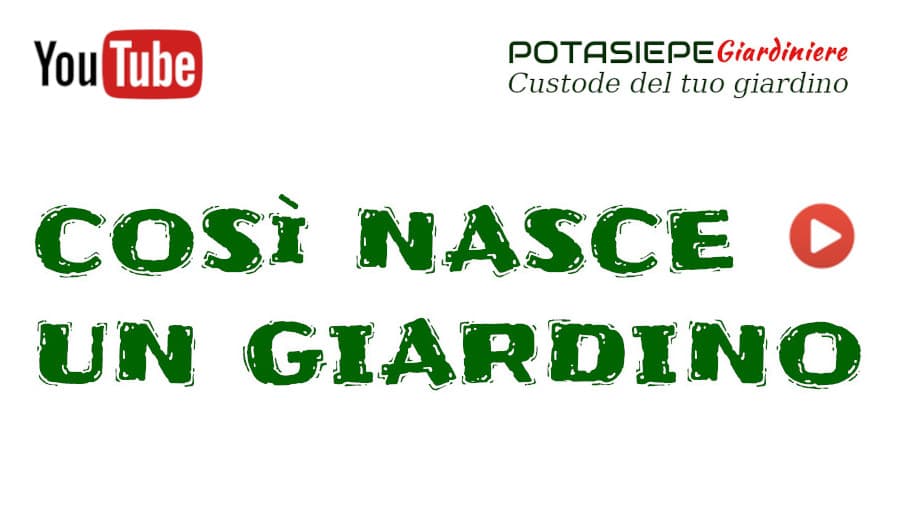 Come nasce un giardino