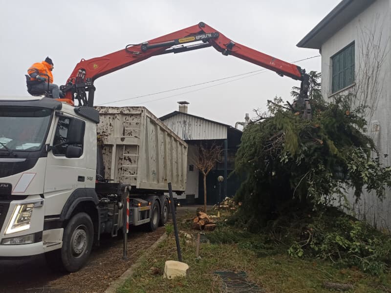 smaltimento scarti verdi, recupero ramaglia e potature con camion munito di polipo